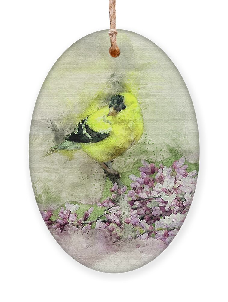Bird Ornament featuring the digital art Looking For Love by Lois Bryan