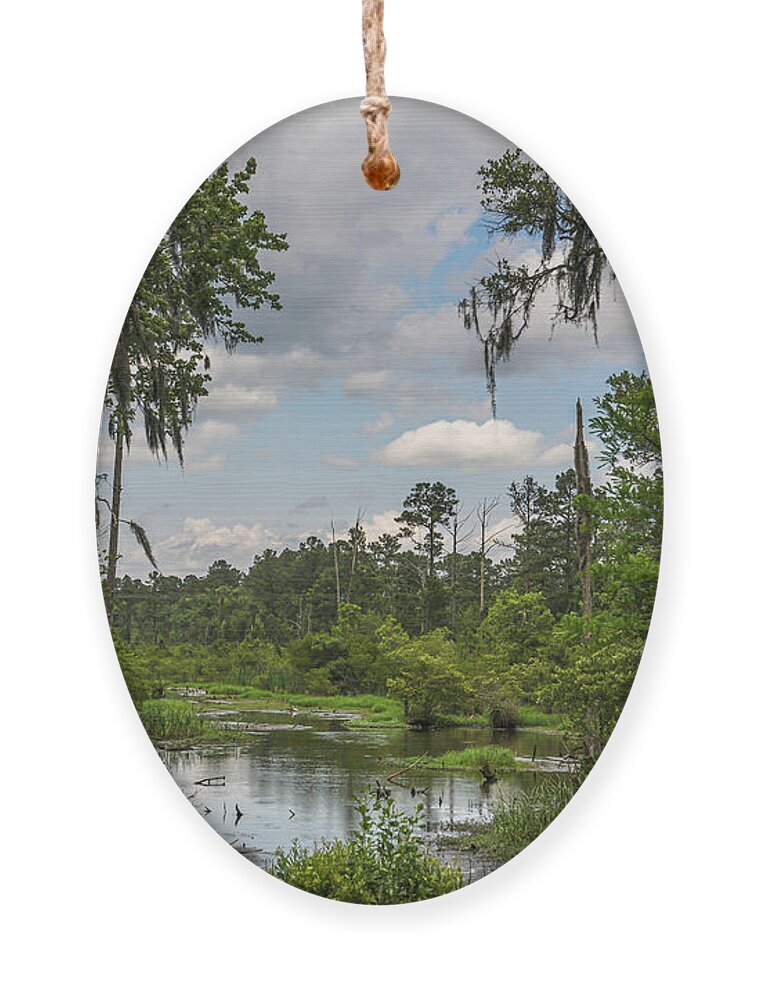 Marsh Ornament featuring the photograph Lowcountry Playground - Popular Grove by Dale Powell