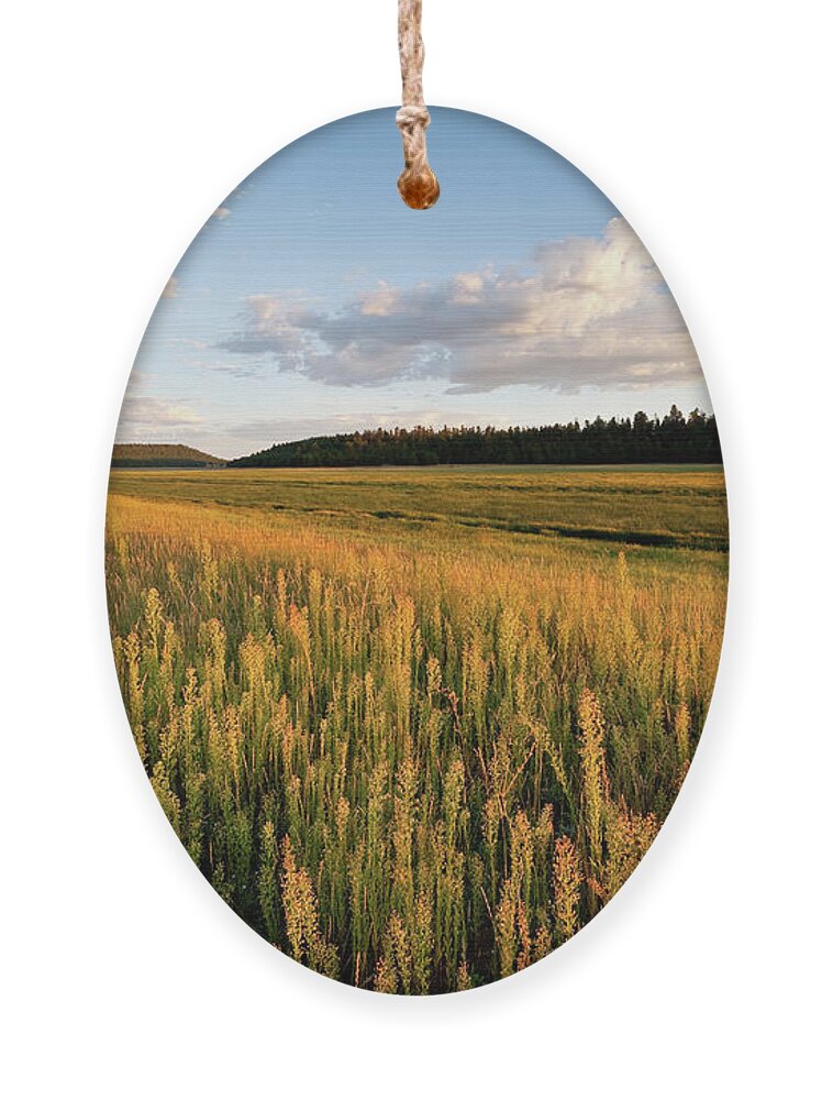 Arizona Ornament featuring the photograph Lower Lake Mary at Sunset by Jeff Goulden