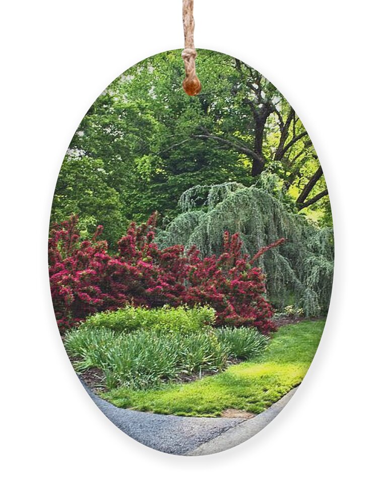 Pathways Ornament featuring the photograph Many Paths One Goal by Allen Nice-Webb