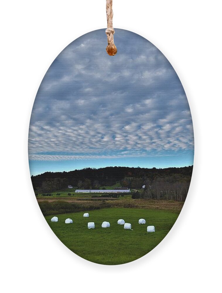 Autumn Ornament featuring the photograph Marshmallow Field by Dani McEvoy