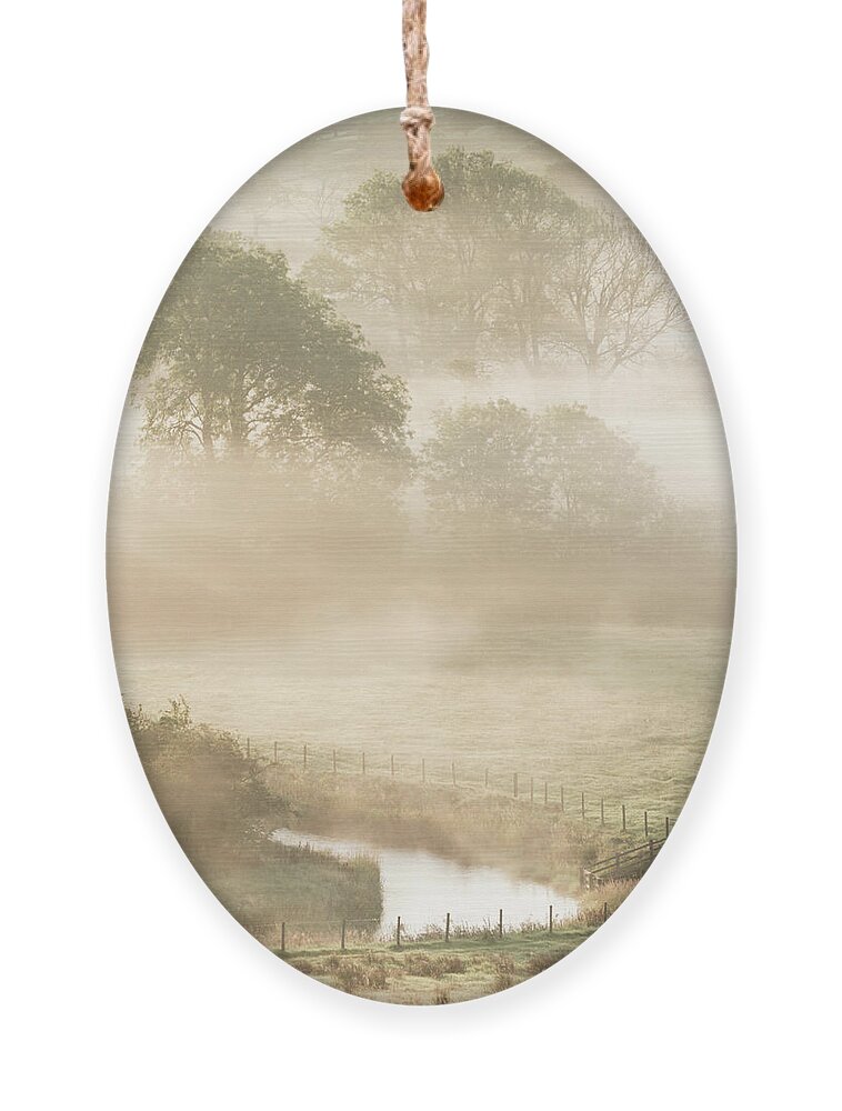 Mist Ornament featuring the photograph Mist in the Vale by Anita Nicholson