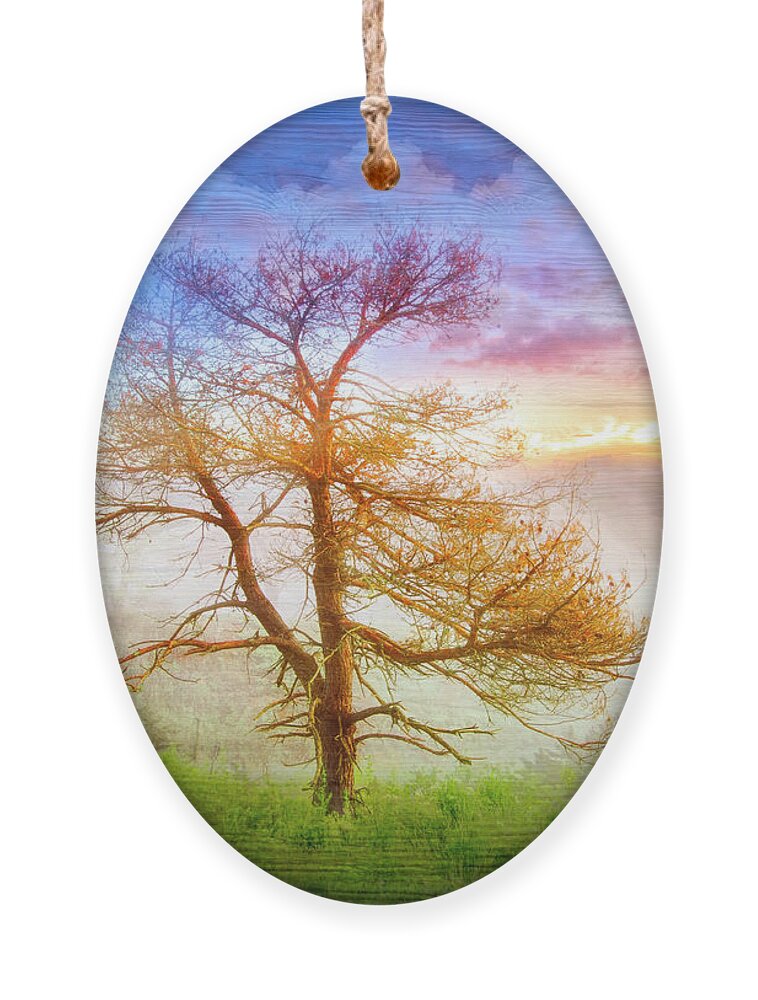Carolina Ornament featuring the photograph Mists by Debra and Dave Vanderlaan