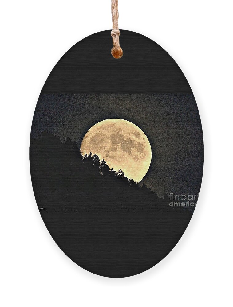 Moon Ornament featuring the photograph Moonrise by Dorrene BrownButterfield