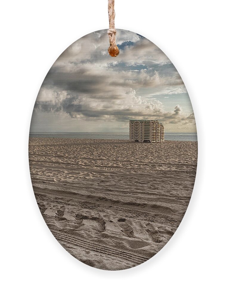 Morning Ornament featuring the photograph Morning in Miami by Alison Frank