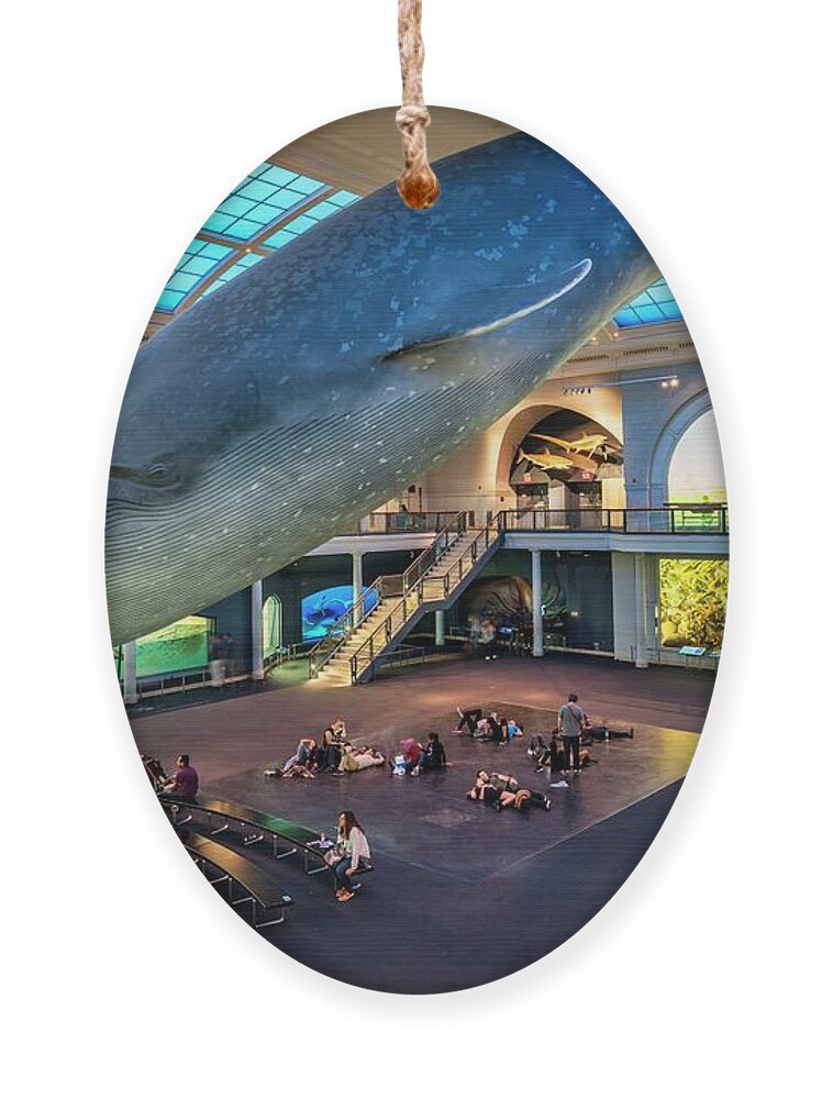 Estock Ornament featuring the digital art Museum Of Natural History, Nyc by Laura Zeid