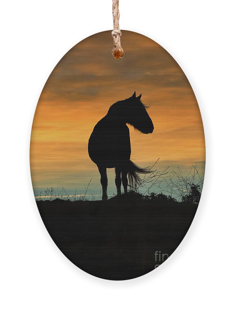 Horse Ornament featuring the photograph Mustang Horse in the Wind by Stephanie Laird