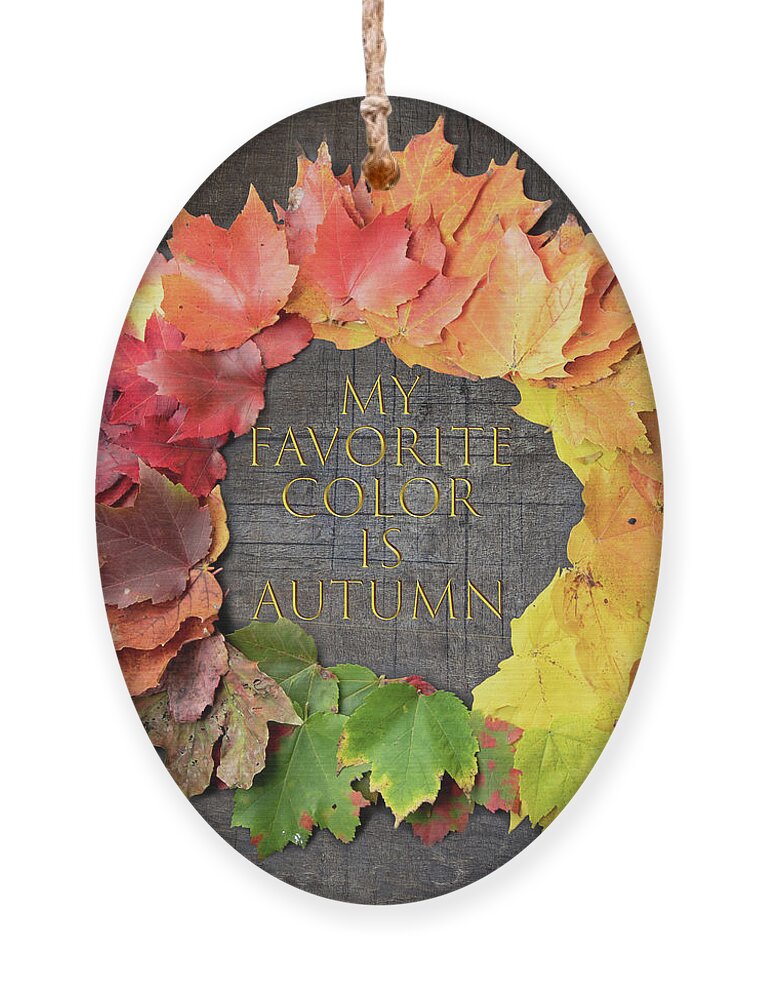 Autumn Foliage Massachusetts Ornament featuring the photograph My Favorite Color is Autumn by Jeff Folger