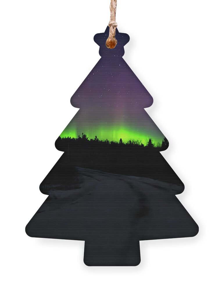 Northern Lights Ornament featuring the photograph Night Dancer by Susan Rissi Tregoning