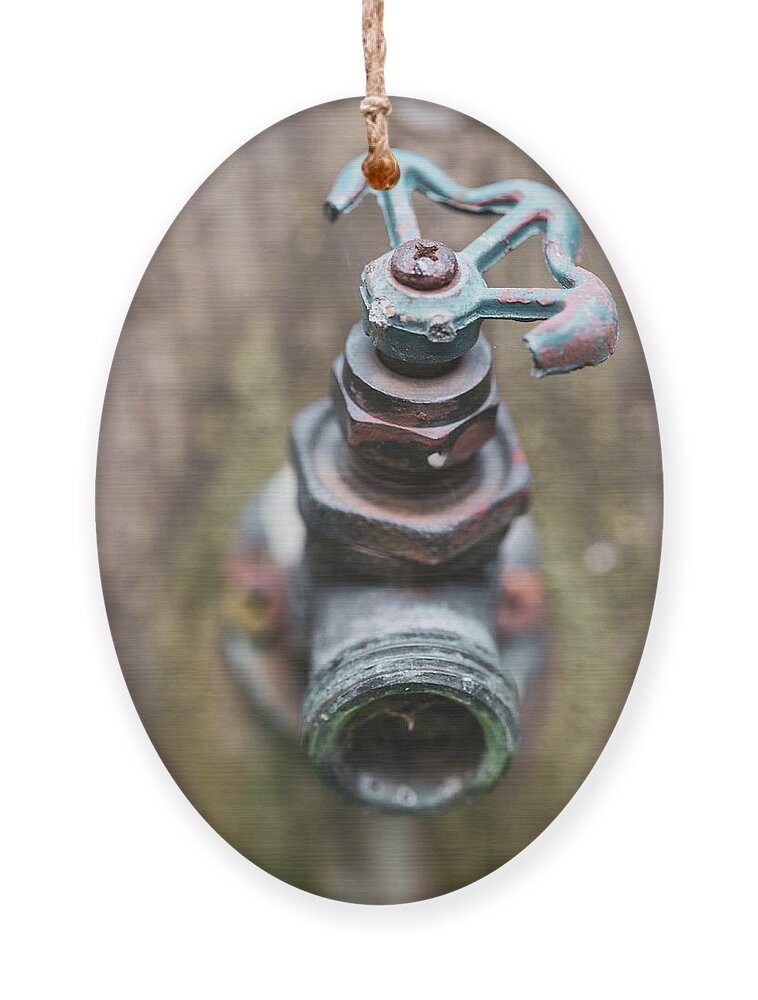 Spout Ornament featuring the photograph Macro Photography - Gardening by Amelia Pearn