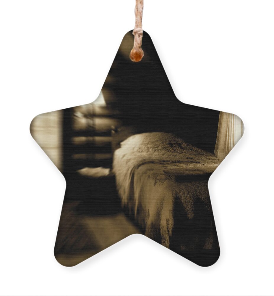 Log Cabin Ornament featuring the photograph Open Spaces For Dreaming by Cynthia Dickinson