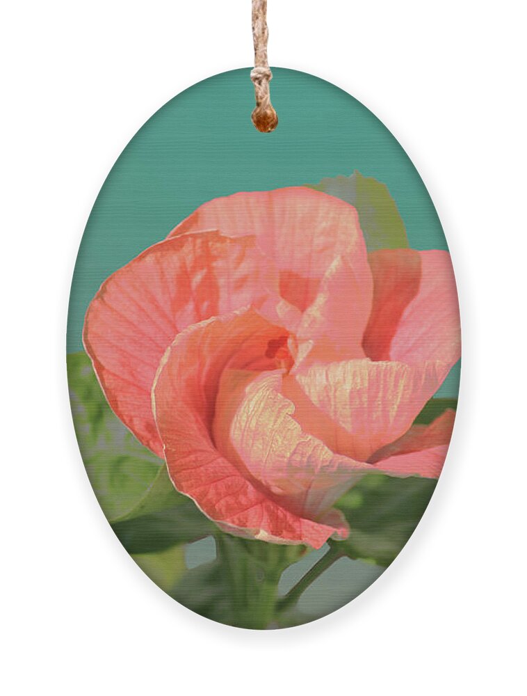 Flower Ornament featuring the digital art Opening by Steve Karol