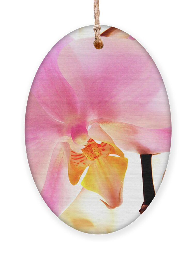 Phalaenopsis Ornament featuring the photograph Orchids in Watercolor by Angie Tirado