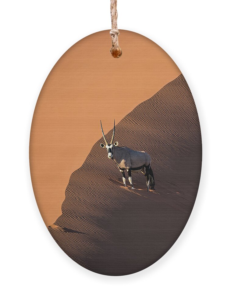 Gemsbok Ornament featuring the photograph Oryx on the edge, Namibia by Lyl Dil Creations