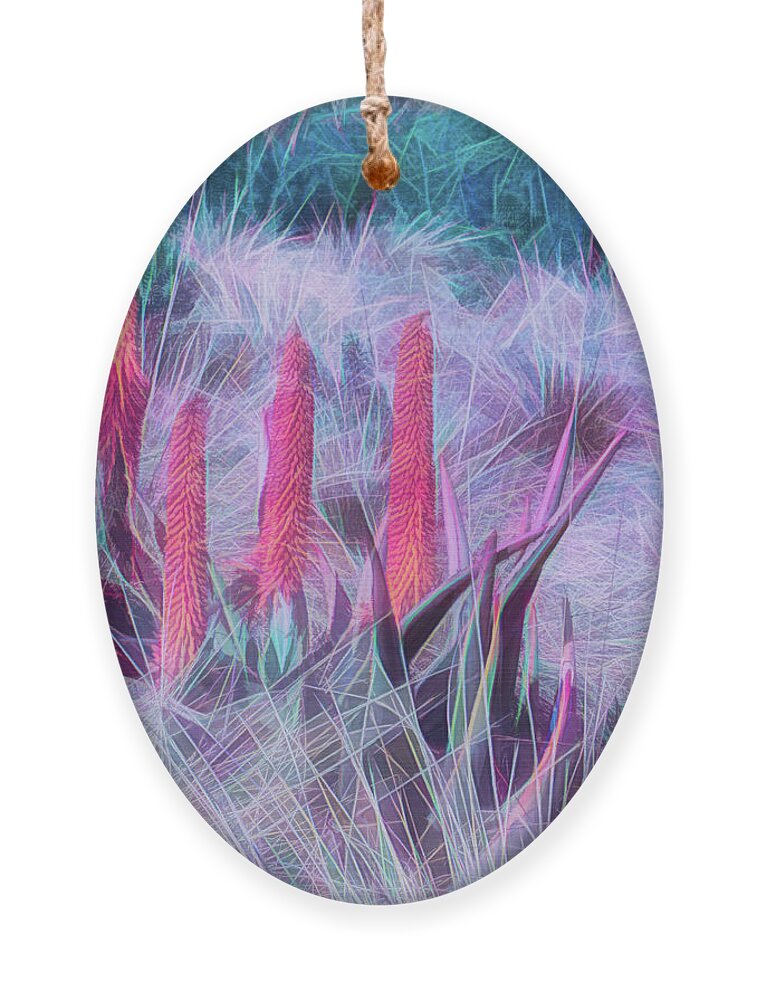 Art Ornament featuring the photograph Poker Plants in Pinks and Blues by Roslyn Wilkins