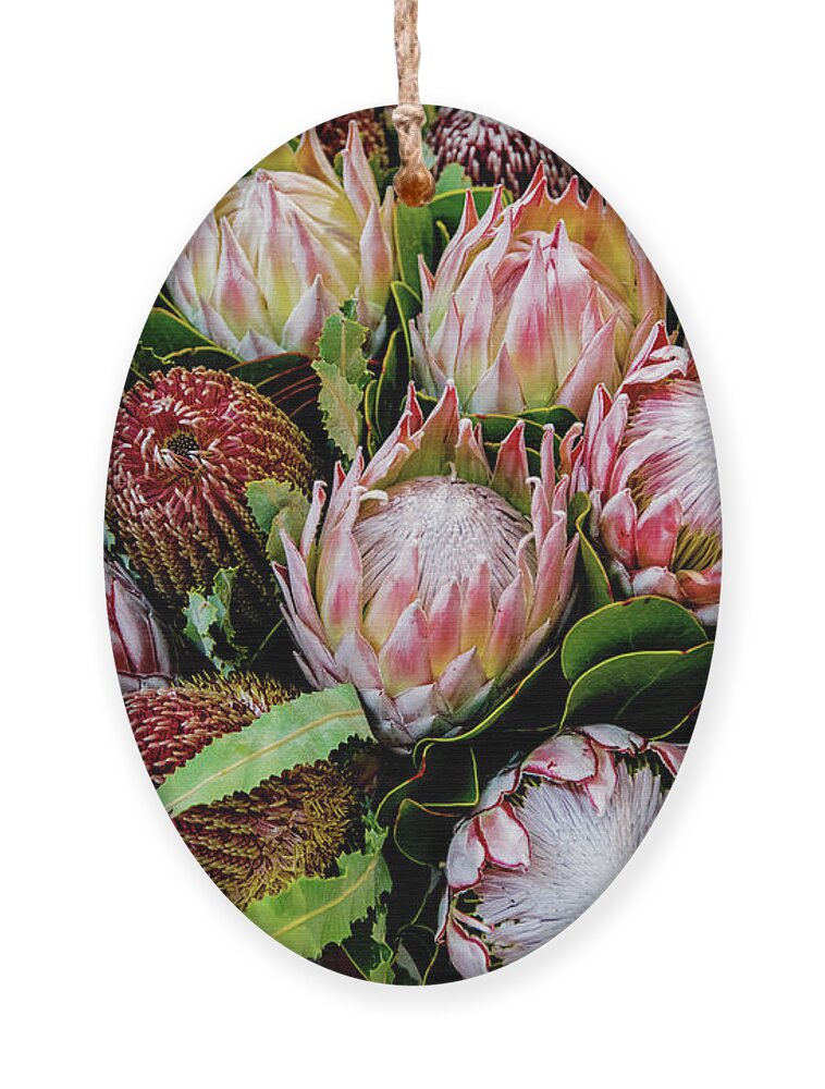Floral Ornament featuring the photograph Protea, Exotic Beauty of South Africa by Marcy Wielfaert