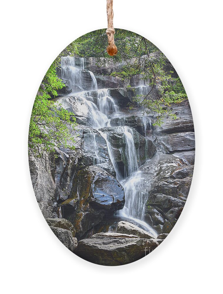 Ramsey Cascades Ornament featuring the photograph Ramsey Cascades 8 by Phil Perkins