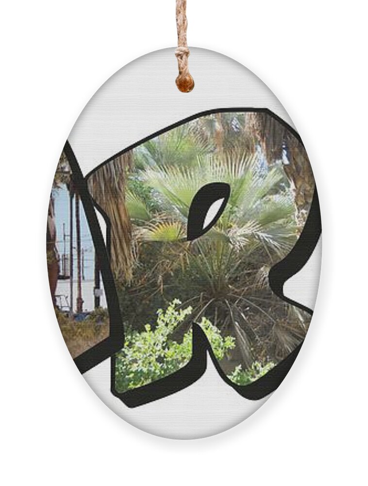 Large Letter Ornament featuring the photograph RARR Big Letter Dinosaurs by Colleen Cornelius