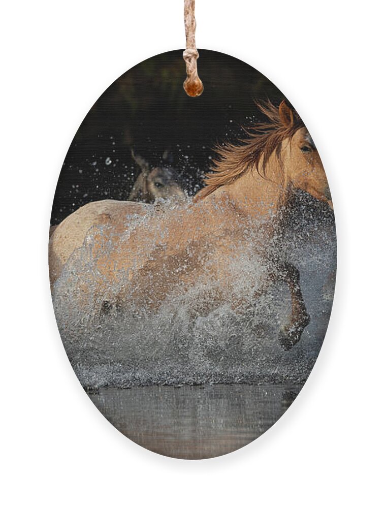 Horse Ornament featuring the photograph River Run by Shannon Hastings