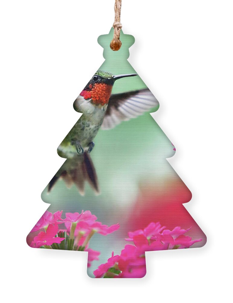 Hummingbird Ornament featuring the photograph Ruby Garden Jewel by Christina Rollo