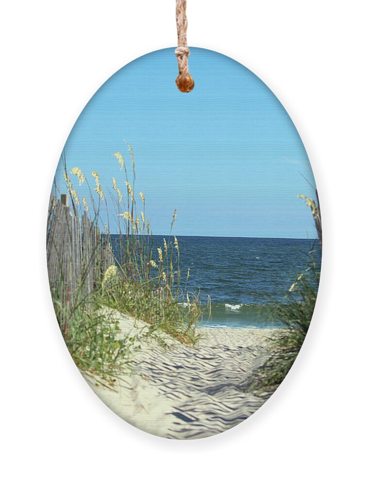 Ocean Ornament featuring the photograph Sandy Path To The Sea by Cynthia Guinn