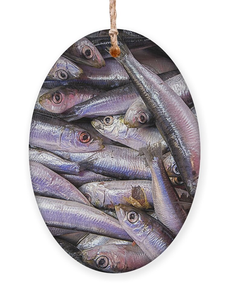Sardine Ornament featuring the photograph Sardines by Nigel R Bell