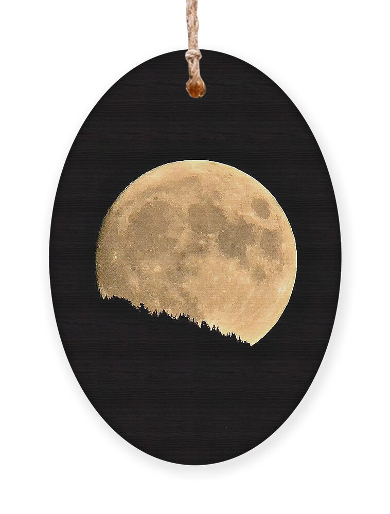 Moon Ornament featuring the photograph September Moonrise by Dorrene BrownButterfield