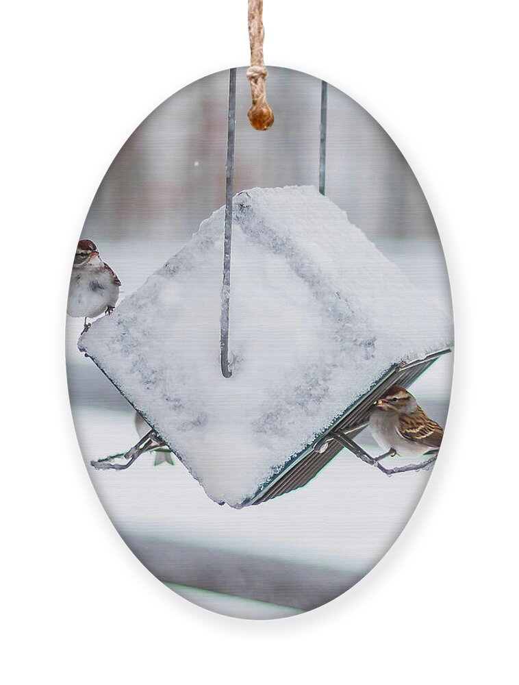 2019 Ornament featuring the photograph Snow Birds by Donna Twiford