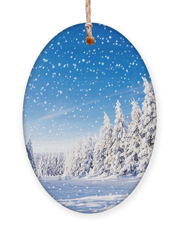 Forest Ornament featuring the photograph Snowfall In Amazing Winter Landscape by Jenny Sturm