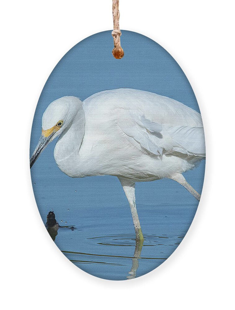 Nature Ornament featuring the photograph Snowy Egret DMSB0180 by Gerry Gantt