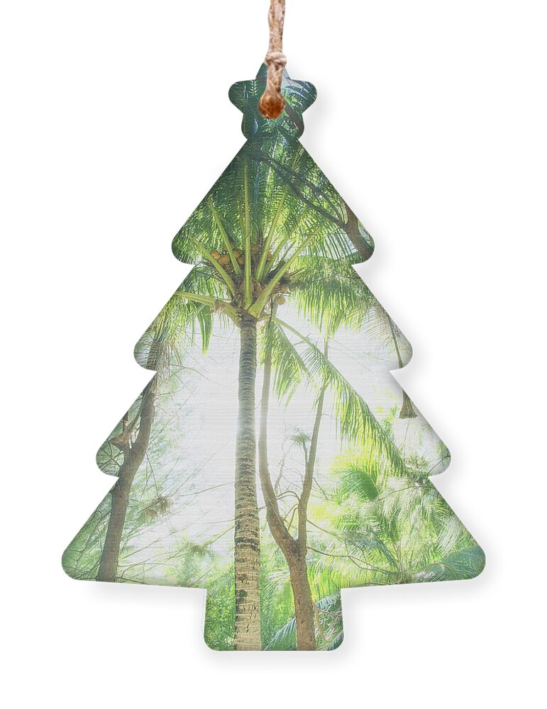 Palm Tree Ornament featuring the photograph Soft and Light 18 by Becqi Sherman