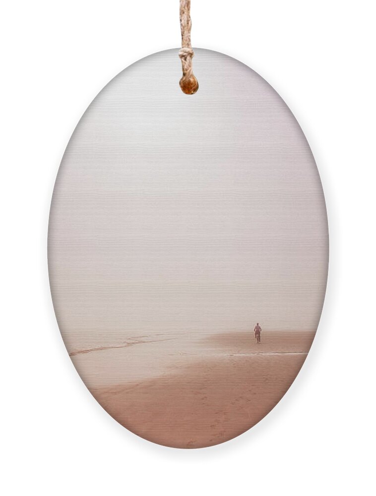 Hilton Head Ornament featuring the photograph Soft and Light 34 by Becqi Sherman