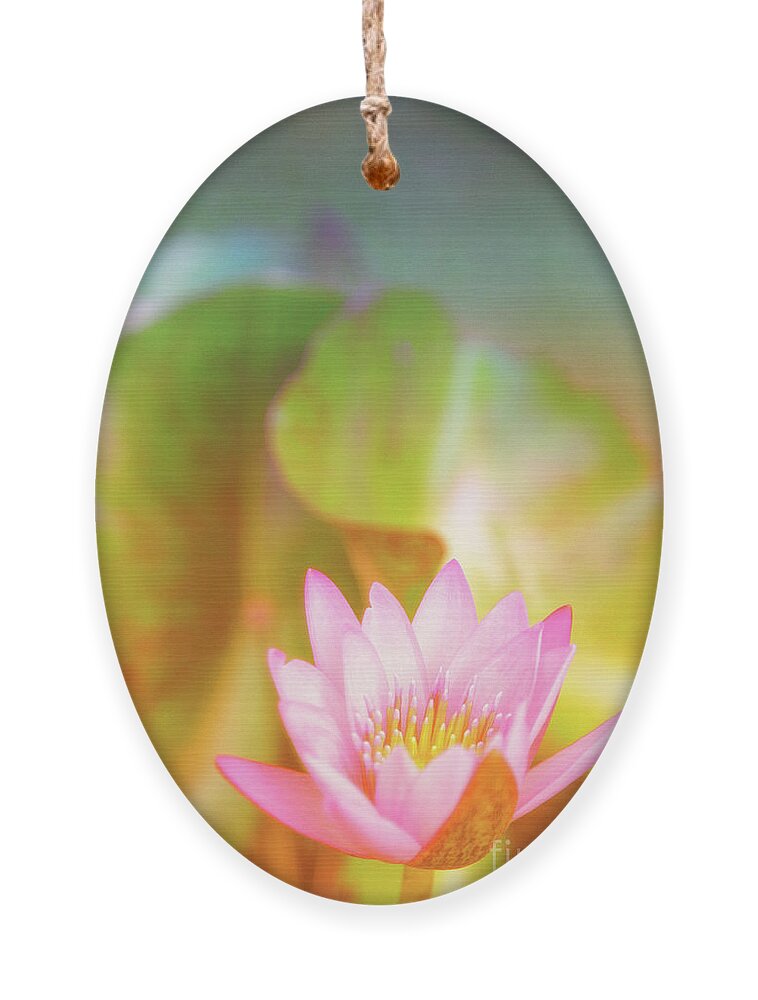Pink Flower Ornament featuring the photograph Soft and Light 4 by Becqi Sherman