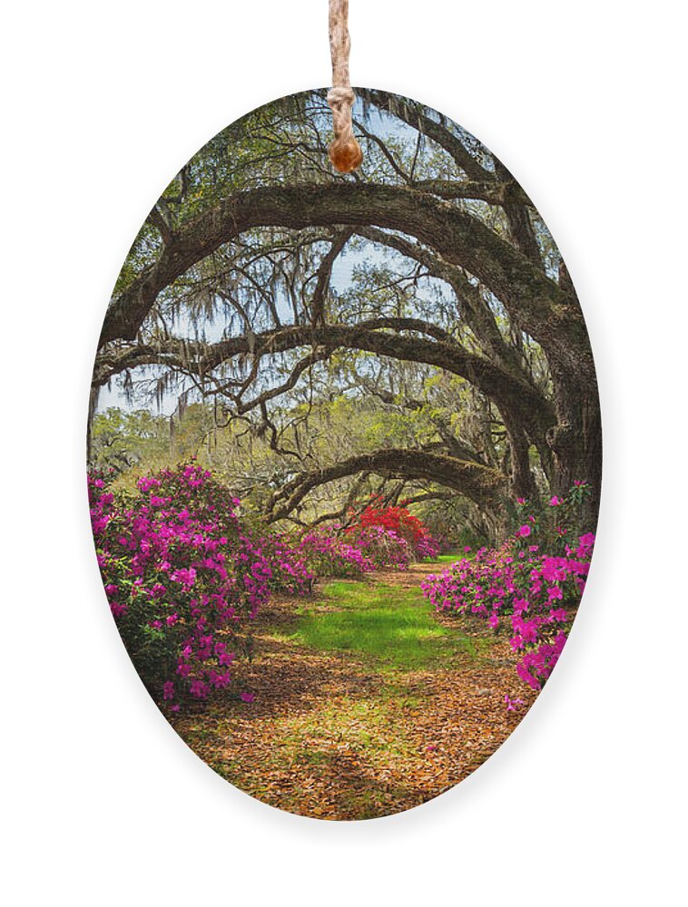 Southern Ornament featuring the photograph South Carolina Spring Flowers by Dave Allen Photography
