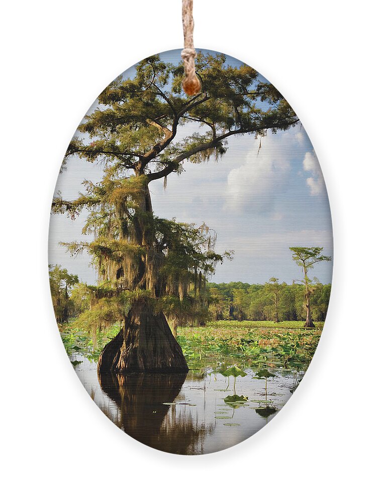 Bald Cypress Ornament featuring the photograph Southern Canopy by Lana Trussell