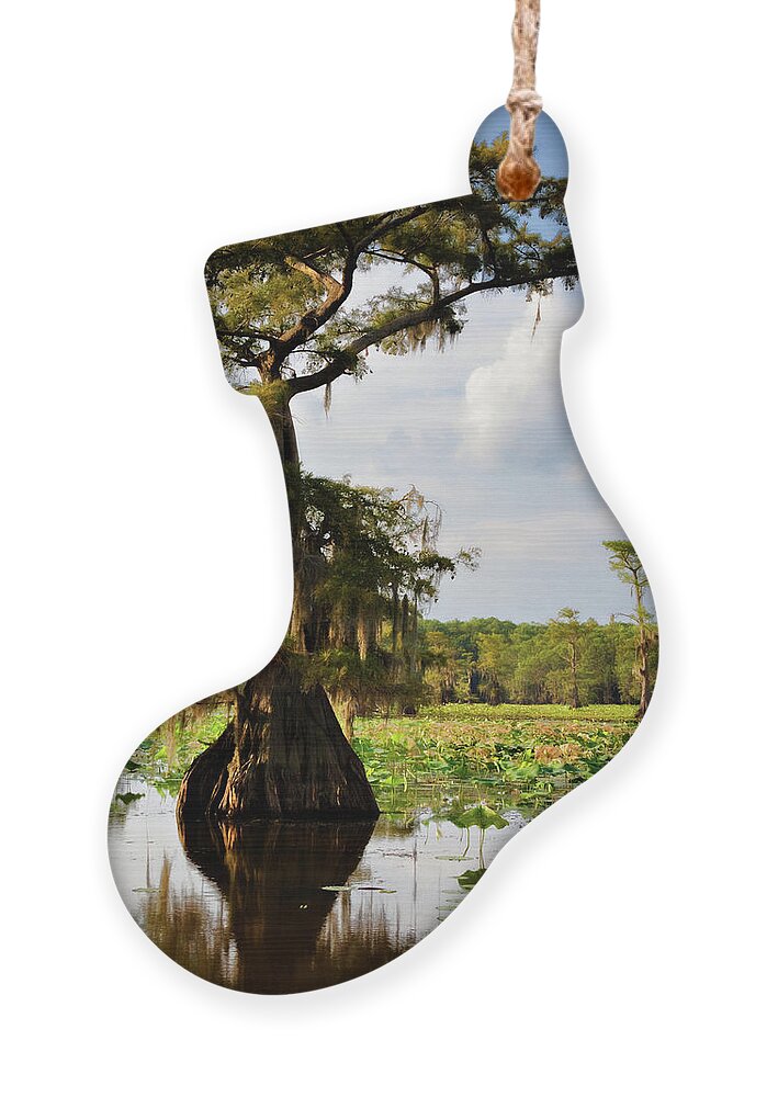 Bald Cypress Ornament featuring the photograph Southern Canopy by Lana Trussell