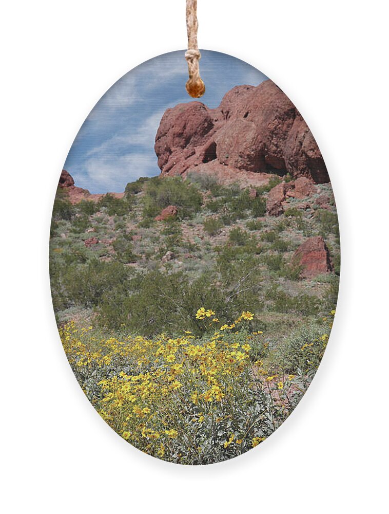 Spring Ornament featuring the photograph Spring Flowers at Papago Park by David T Wilkinson