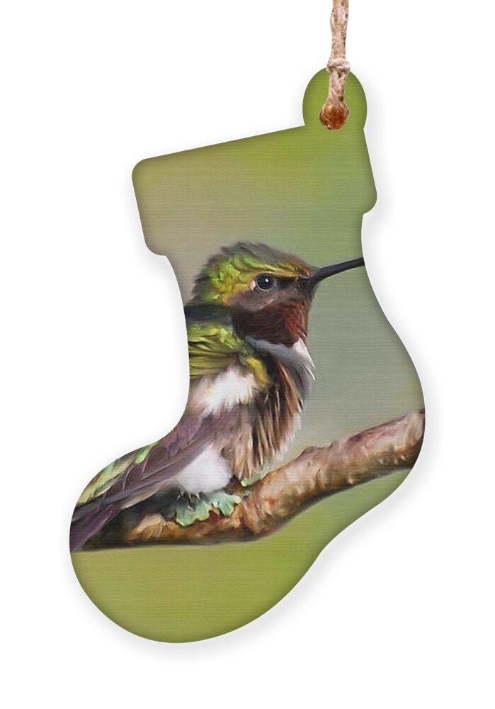 Bird Ornament featuring the mixed media Spring Green Hummingbird by Christina Rollo