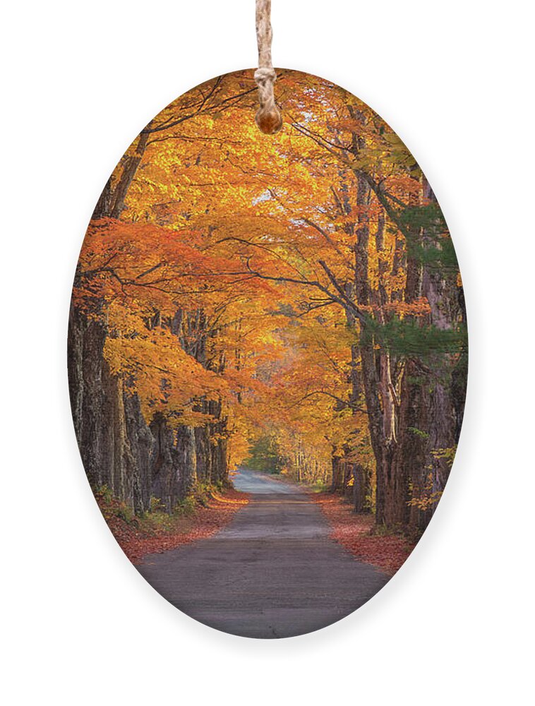 Sugar Ornament featuring the photograph Sugar Hill Autumn Maple Road by White Mountain Images