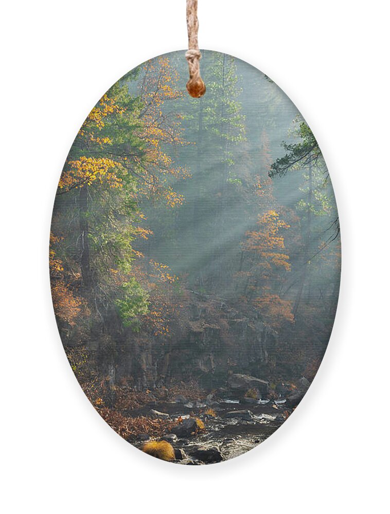 Mccloud Ornament featuring the photograph Sunbeams on the McCloud River by Don Hoekwater Photography