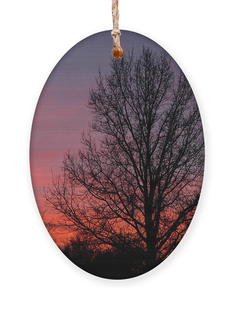 Tree Ornament featuring the photograph Sunset Tree by Minnie Gallman