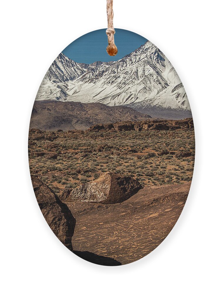  Ornament featuring the photograph Sky rock _T__9990 by John T Humphrey
