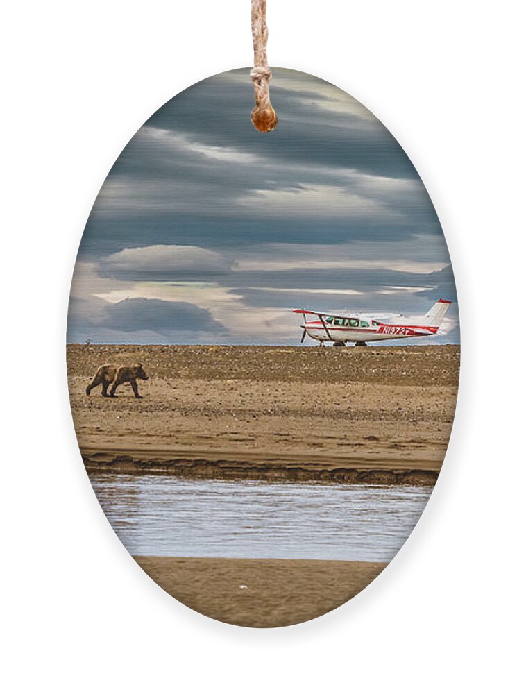 Bear Ornament featuring the photograph The bear and the airplane by Lyl Dil Creations