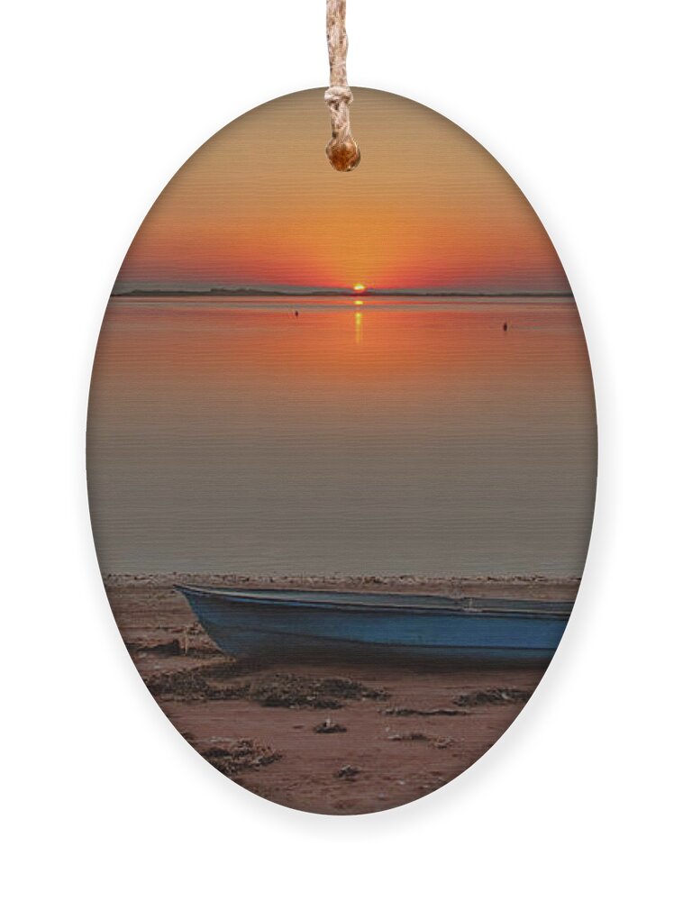 Ocean Ornament featuring the photograph The Perfect Sunrise by Marcy Wielfaert