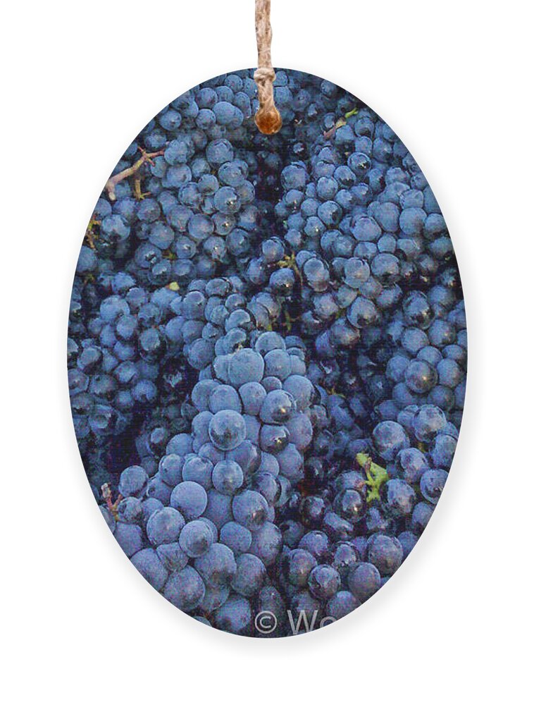 Grapes Ornament featuring the photograph A Zillion grapes now that's alot by Leslie Struxness