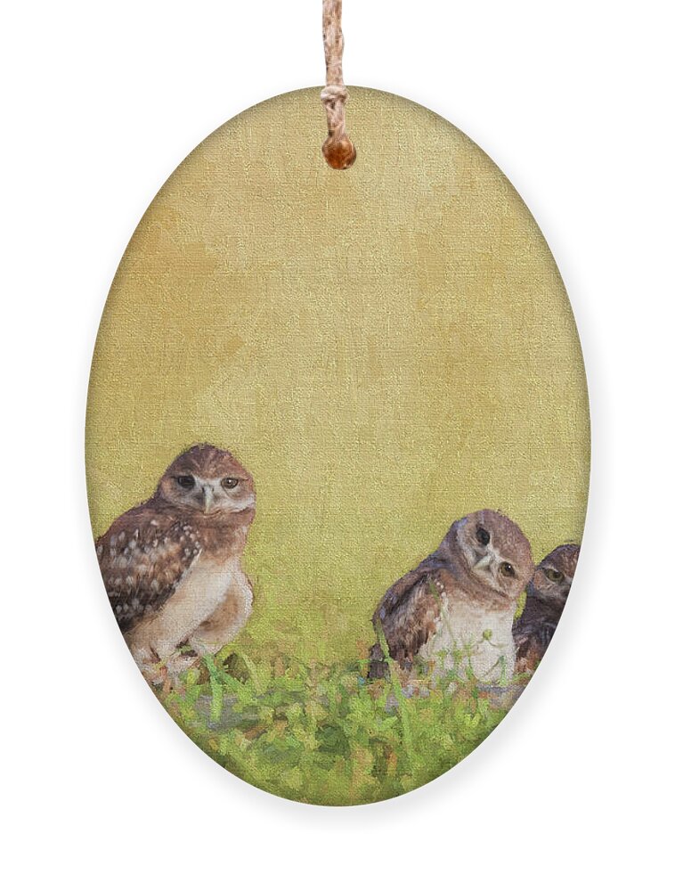Burrowing Owls Ornament featuring the digital art The Curious One by Jayne Carney