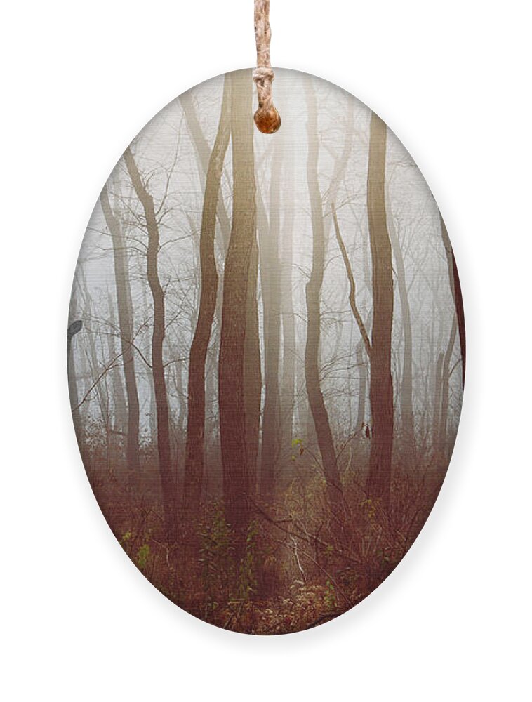 Dupage County Ornament featuring the photograph The Deer in the Fog by Joni Eskridge by Joni Eskridge