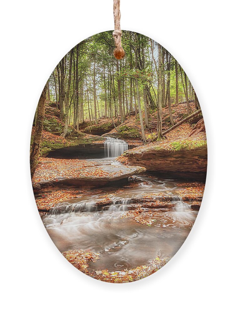Waterfall Ornament featuring the photograph The Magical Dells at Houghton Falls by Susan Rissi Tregoning