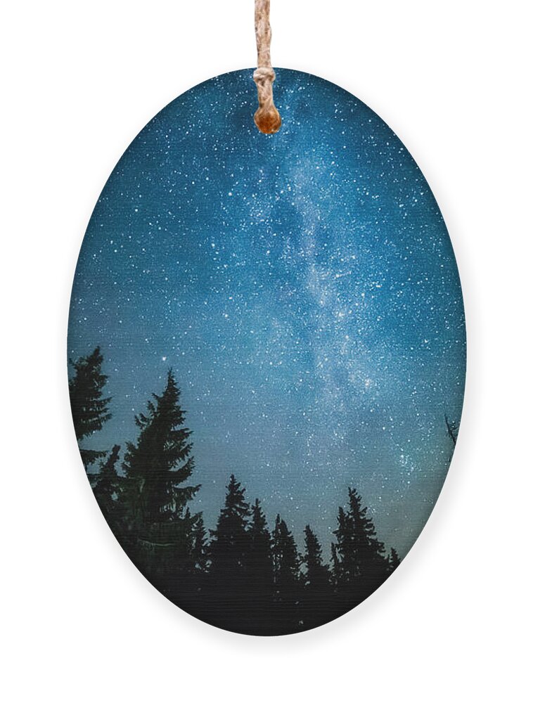 Magic Ornament featuring the photograph The Milky Way Rises Over The Pine Trees by Andrey Prokhorov