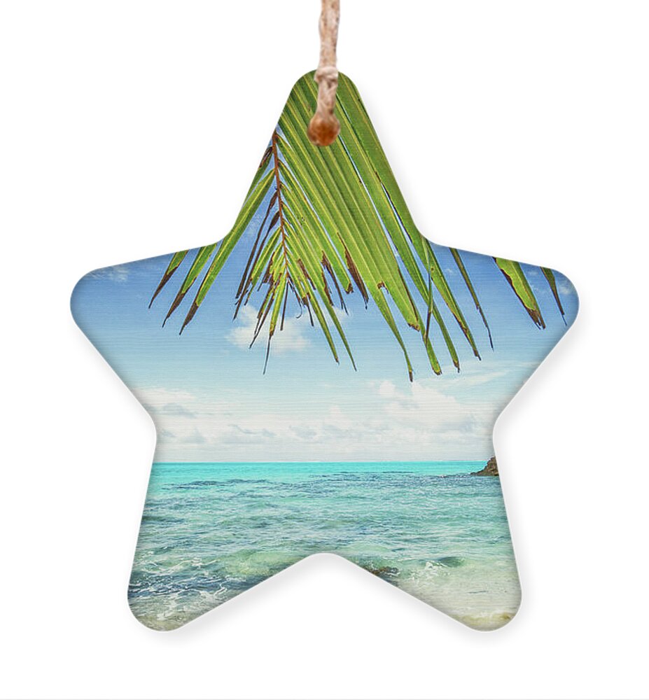 Palm Frond Ornament featuring the photograph The Palm Curtain - Part II by Becqi Sherman
